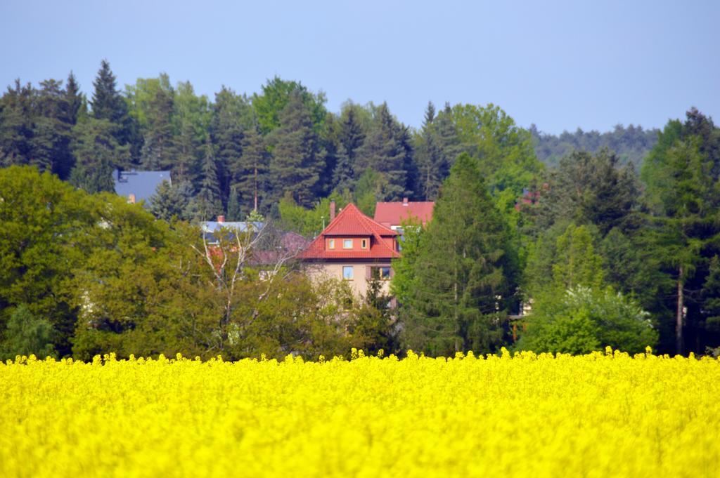 Ferienwohnung Deutschmann Dahlen Habitación foto